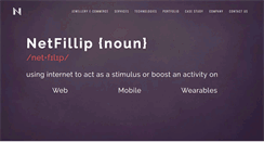 Desktop Screenshot of netfillip.com